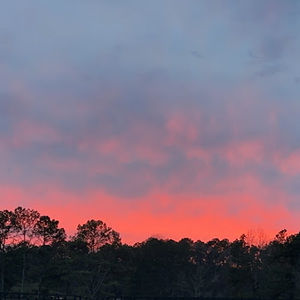 Meet your Posher, Kinsley